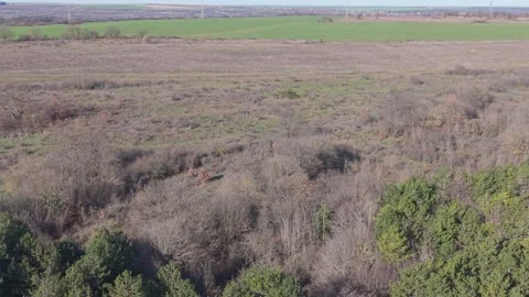 Aerial View of Rural Fields and Farmland Landscape in Early Spring Stock Footage 324889652