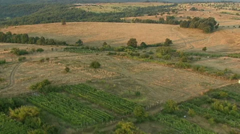 Aerial view of rural fields Stock Footage 40410928