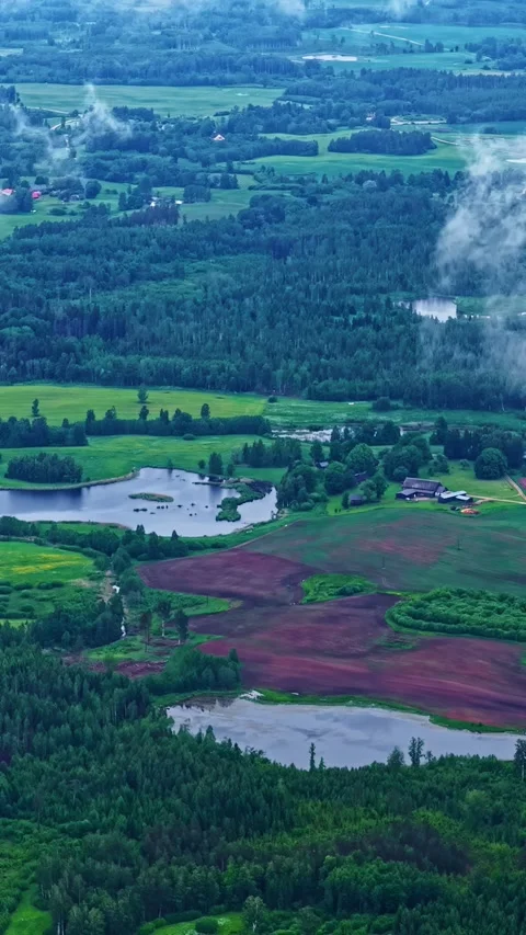 Aerial View of Rural Fields, Forests, and Ponds with Scattered Clouds Over Stock Footage 337234242