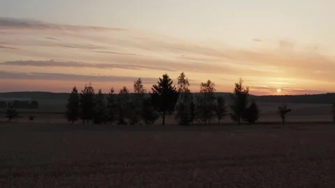 Aerial View of Rural Fields with Trees at Dusk Tranquil Countryside Landscape Vidéo 347644735