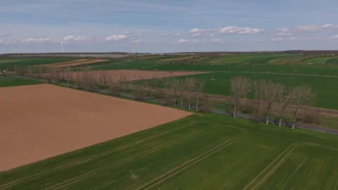 An aerial view of a rural landscape featuring green and brown agricultural Vidéo 333376328