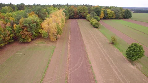 Aerial view of a rural landscape with fields and trees in autumn colors Vídeo Stock 348461201