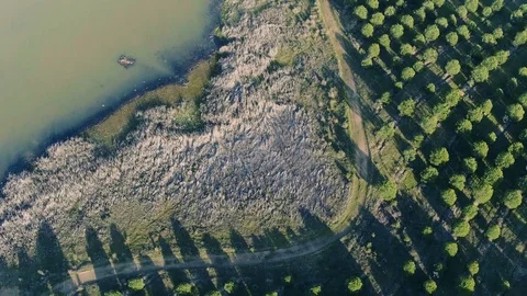 Aerial View Rural Landscape Stock Footage 72679524