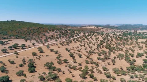 Aerial View Rural Landscape Stock Footage 77768600