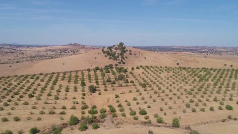 Aerial View Rural Landscape Stock Footage 82042607