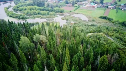 Aerial view of rural landscape with forest and river Stock Footage 172532489