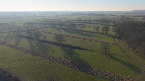 Aerial view of rural landscape with leafless trees, intersecting dirt roads. Видео 327488690