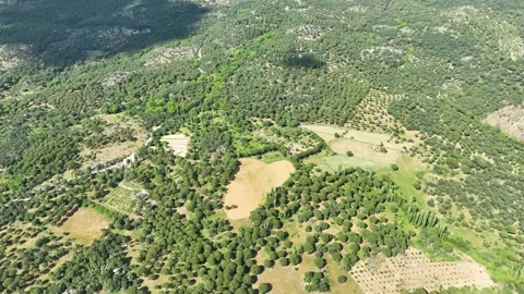Aerial View of a Rural Landscape Pattern Stock Footage 316816084