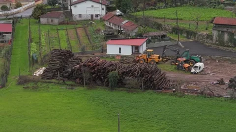 Aerial view of rural logging yard with stacked timber Vídeos de archivo 325367240