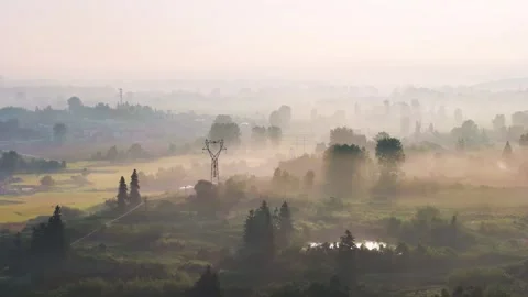 Aerial view of rural rice fields and power lines in soft morning mist Stock Footage 342233975