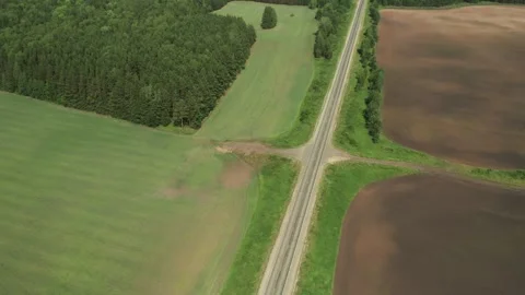 Aerial view of rural road between green fields and forest in countryside 스톡 동영상 336302057