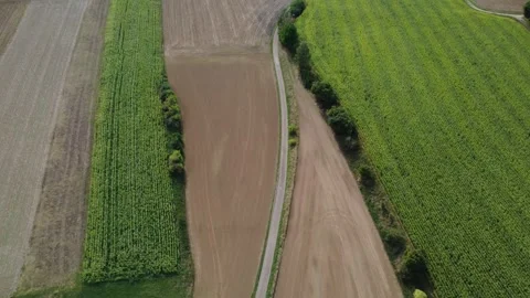 Aerial View of Rural Road Between Agricultural Fields Stock Footage 344770007