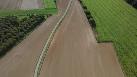 Aerial View of Rural Road Between Agricultural Fields Stock Footage 344770008