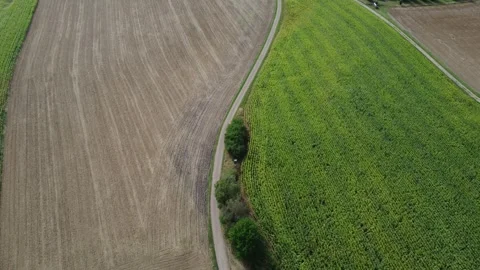 Aerial View of Rural Road Between Agricultural Fields Stock Footage 344770057