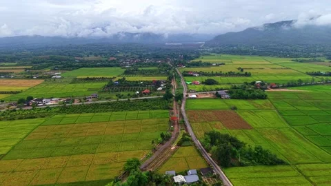 Aerial view of rural road intersection and railway through rice fields 스톡 동영상 334520228