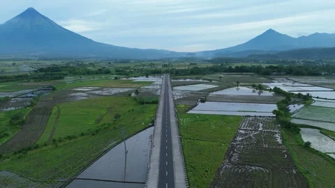 Aerial view of rural road through rice fields with Mayon Volcano Stock Footage 337513502