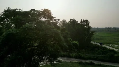 Aerial view of rural road through green trees with bright sun haze Stock Footage 342302104