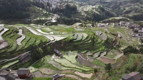 Aerial view of Rural Scenery in tang'an Terraced Fields, Southeastern Guizhou Stock Footage 307580153
