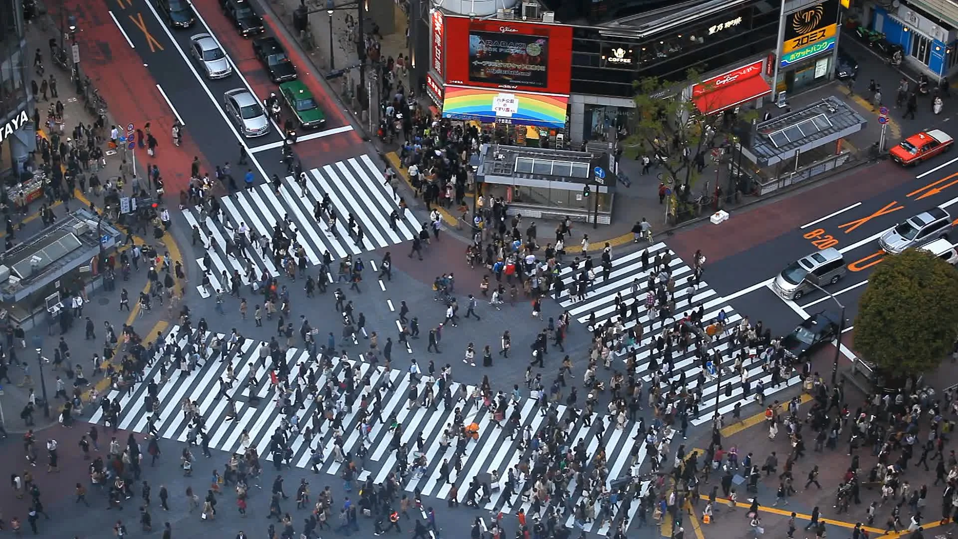 Aerial View Rush Hour Crowded Street Tok | Stock Video