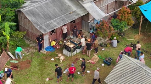 Aerial view of sacrificial slaughter for Eid al-Adha, Indonesia Stock Footage 336408878
