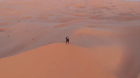 Aerial view sahara 库存影片 130085662