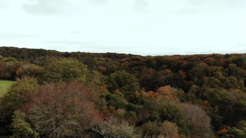 Aerial view of Saint-Mayeul chapel in Troncais forest, Allier, France Stock Footage 341769357