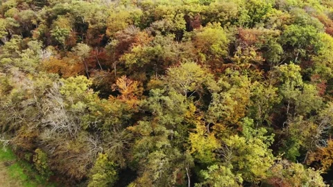 Aerial view of Saint Mayeul chapel hidden in Troncais forest, Vitray, France Stock Footage 341884885