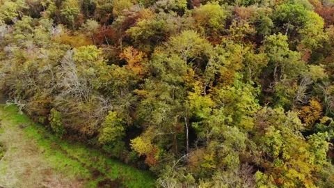 Aerial view of Saint Mayeul chapel hidden in Troncais forest, Vitray, France Stock Footage 341884892