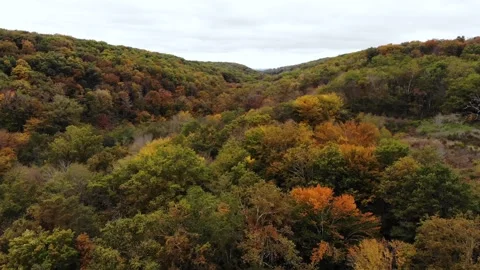 Aerial view of Saint Mayeul chapel hidden in Troncais forest, Vitray, France Stock Footage 341884942