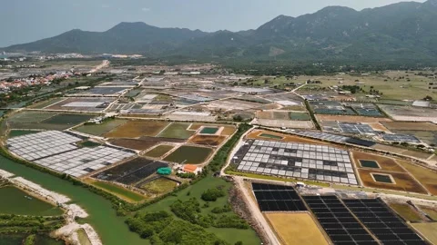 Aerial view of salt fields and evaporation ponds for salt production in nha.. Video stock 335025907