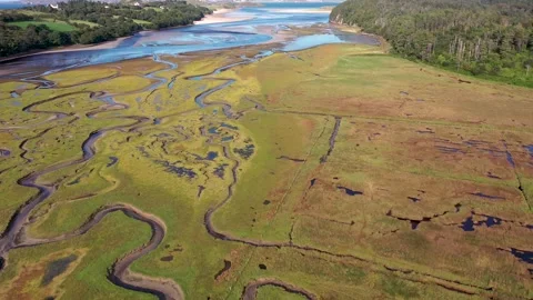 Aerial view of the Salt Marsh at Ards Forest Park in County Donegal, Ireland Vídeos de archivo 220213882