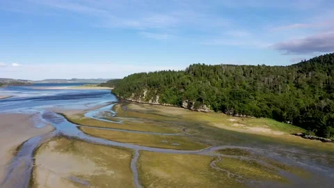 Aerial view of the Salt Marsh at Ards Forest Park in County Donegal, Ireland Vídeos de archivo 220451009