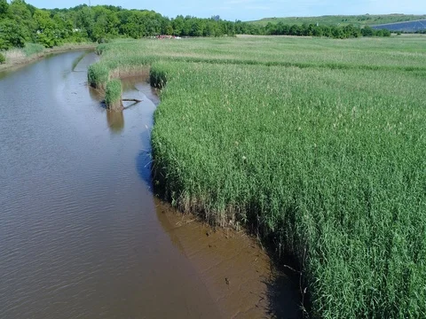 Aerial view of a Salt Marsh Stock-Footage 77107976