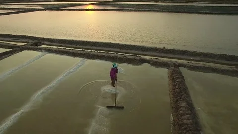 Aerial view of salt worker gathering salt on the salines, Cambodia Stock Footage 83535272