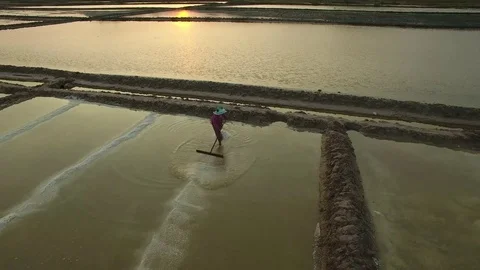 Aerial view of salt worker gathering salt on the salines, Cambodia Stock Footage 83535286