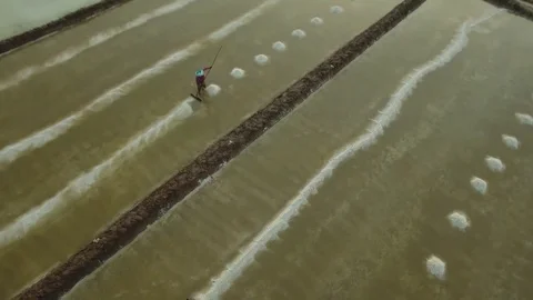 Aerial view of salt worker gathering salt on the salines, Cambodia Stock Footage 83535297