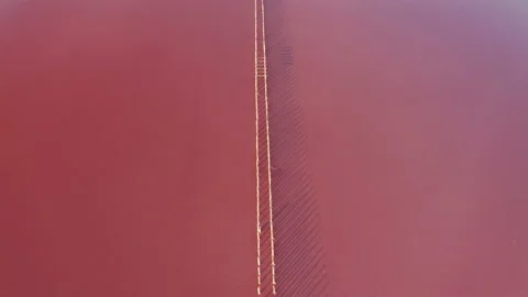 Aerial view of the salty pink lake. Genichesk, Ukraine Stock Footage 138481453