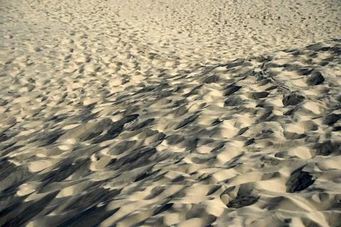 Aerial View of Sand Dunes Patterns at Skagen Denmark Stock Photos