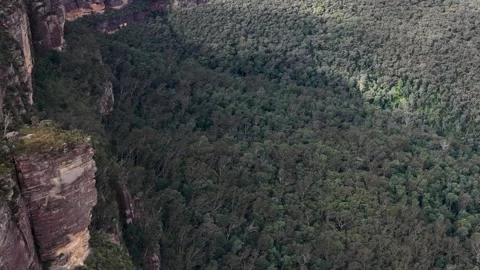 Aerial View of Sandstone Cliffs and Eucalyptus Forest in Blue Mountains Stock Footage 341316342