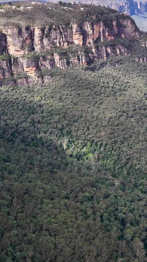 Aerial View of Sandstone Cliffs and Eucalyptus Forest in Blue Mountains Stock Footage 341374000