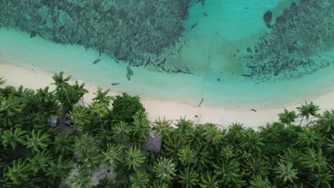 Aerial view of sandy beach and ocean with waves Video stock 249672095