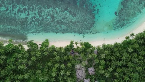Aerial view of sandy beach and ocean with waves Stock Footage 249673274
