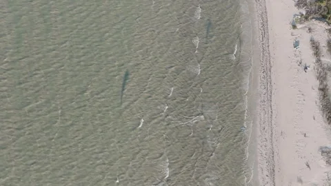 Aerial view of sandy beach and ocean waves, Mexico. Stock-Footage 284848743