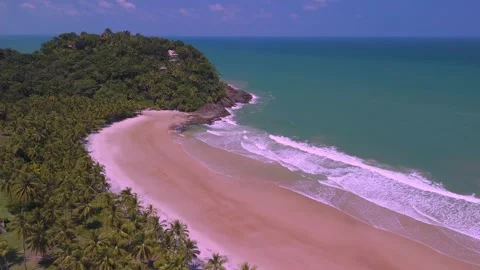 Aerial view sandy beach and palm trees along a tropical coastline 動画素材 345693827