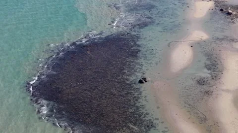 Aerial View of Sandy Beach with Dark Algae Patch in Clear Blue Water Stock Footage 336816683