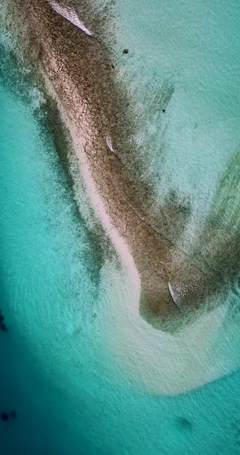 Aerial view of sandy beach Stock Footage 162071885