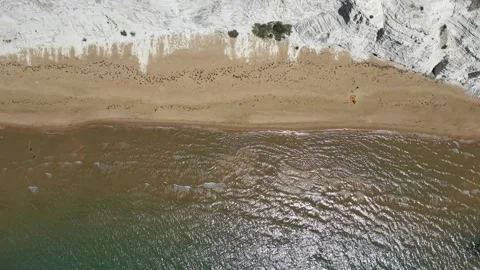 Aerial view of sandy beach with gentle waves lapping at the shore Stock Footage 345149291