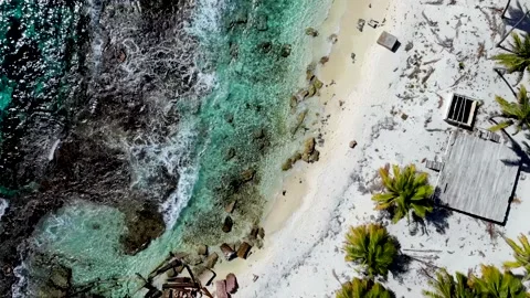 Aerial view Sandy beach with palms and blue transparent ocean. Stock Footage 131111960