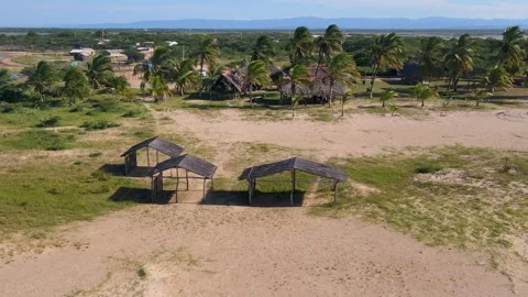 Aerial View of Sandy Beach with Palms and Huts Stock Footage 330668480