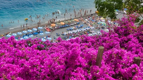 Aerial view of sandy beach with rows of umbrellas, swimming people in sea flower Stock Footage 112903633